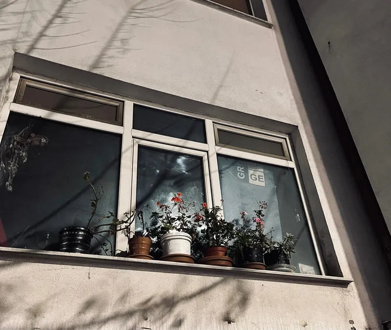 Saksıların Ardından